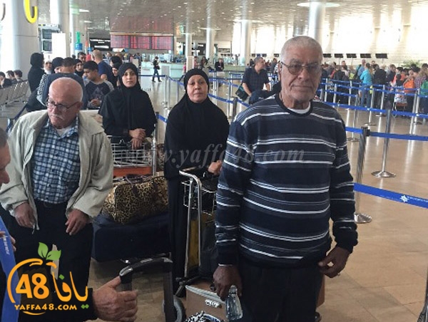 lud 3omra plane lud (1).jpg